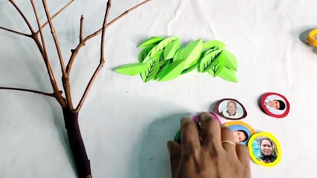 3D Family Tree/3D family tree/Family Tree School Project/Family Tree model/How to draw Family Tree/ смотреть онлайн