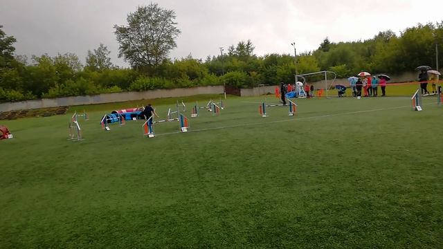 Семёновна Александра и колли короткошерстный Чипс личный джампинг смотреть онлайн