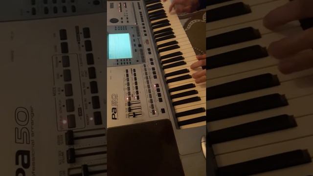 Luis Fonsi -Despacito Korg Pa 50 смотреть онлайн