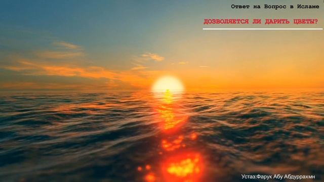 ДОЗВОЛЯЕТСЯ ЛИ ДАРИТЬ ЦВЕТЫ? смотреть онлайн