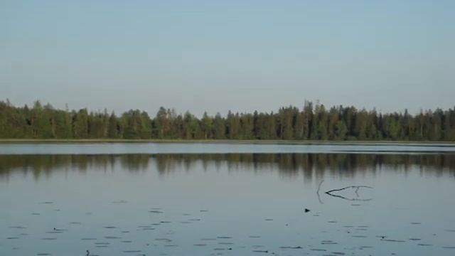 Шидрозеро в Ленинградской области смотреть онлайн
