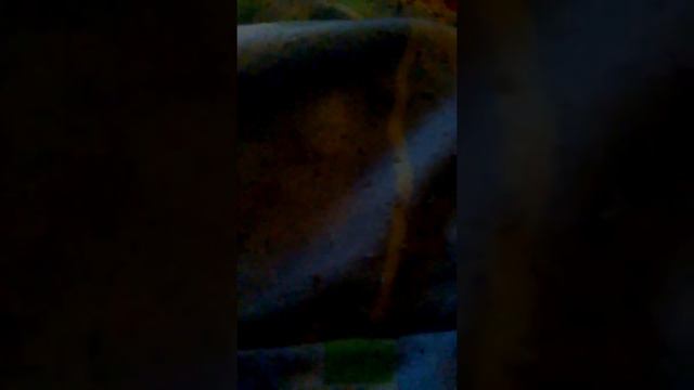 Фреди фнаф не существует!😖 смотреть онлайн