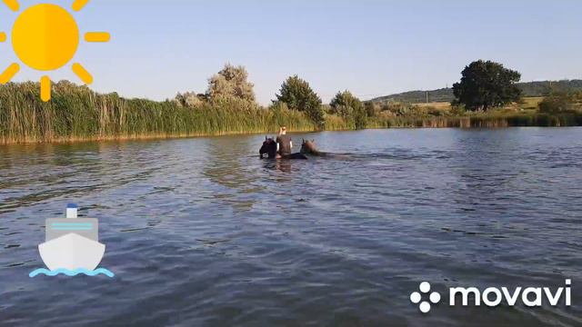 МОИ ЖИВОТНЫЕ И Я. 🐴🐶🐐🐱 2 часть смотреть онлайн