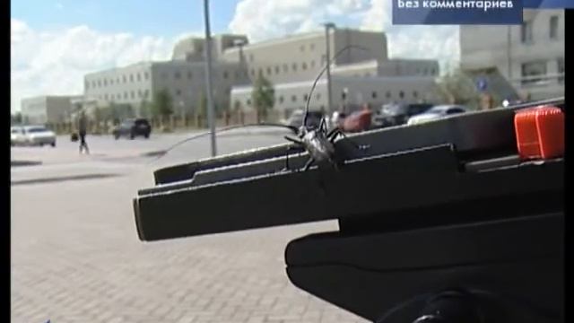 Любил бы лето, когда б не зной, да комары, да мухи 6+ смотреть онлайн