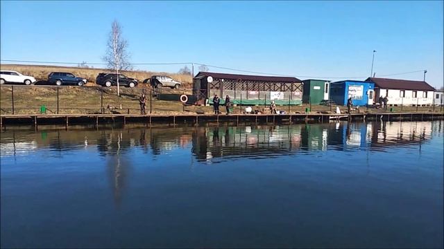 Активный клев форели в морозное утро!!! смотреть онлайн