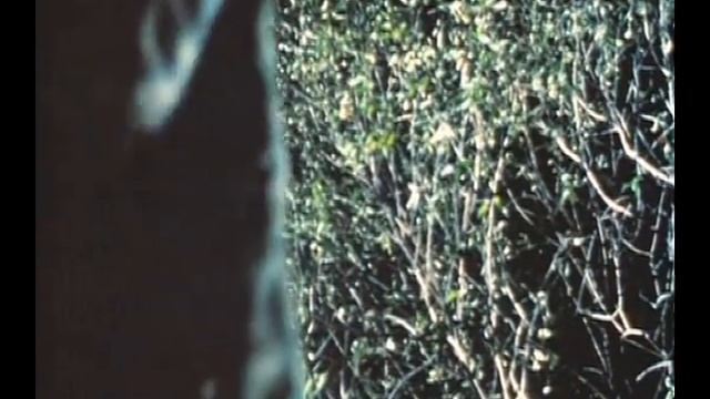 Шекспир и племянники смотреть онлайн