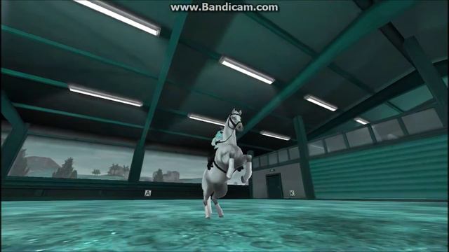 Fiddle Me Ghillies - Nathan Lanier (Equestrian disciplines, SSO) смотреть онлайн