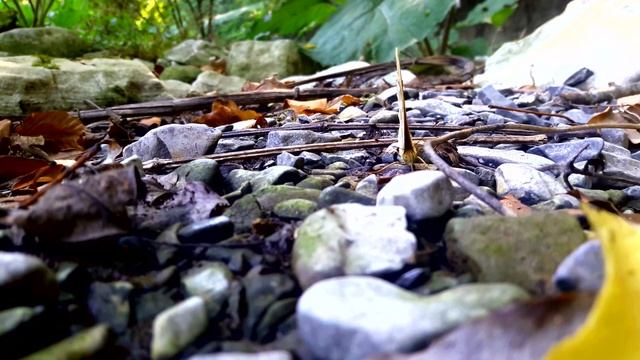 Почему люди замыкаются в себе ? Как страхи влияют на человека? смотреть онлайн