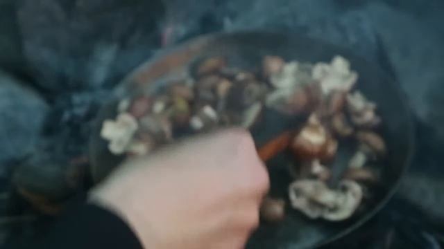 Сочный стейк с грибами за несколько минут. Это нечто особенное!.