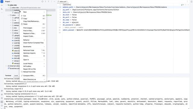 PyCharm para el desarrollo de Odoo con Intelisense смотреть онлайн