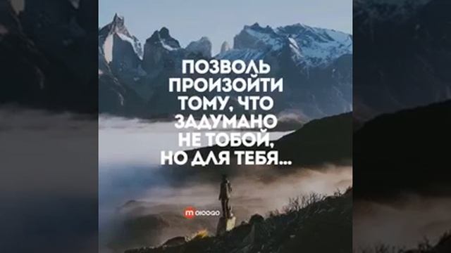 Жить не смотря ни на что