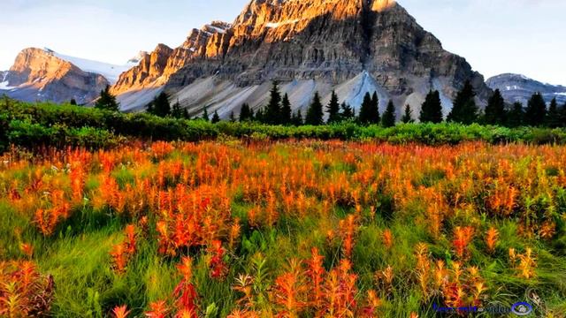 becixmat - Relax 2278 - Hory - Mountains - 2K (Pan Flute) смотреть онлайн