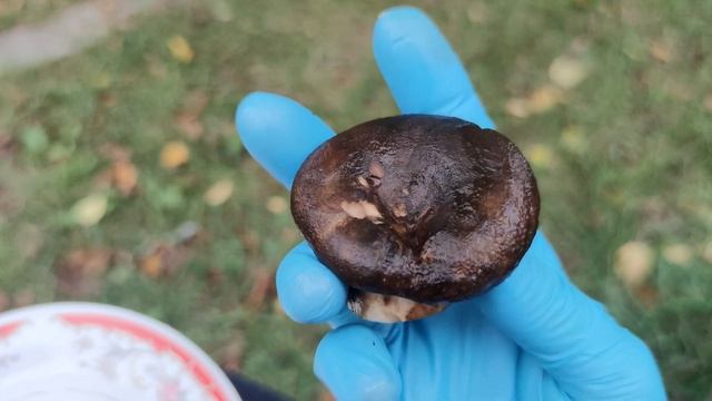 Чистота и порядок