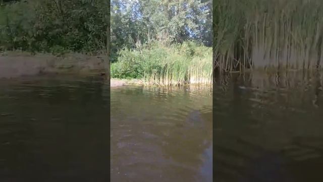 Отдых Соль-Илецк 15.07.2018 смотреть онлайн