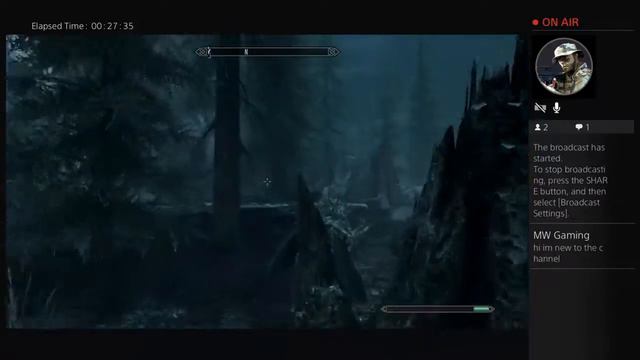 Awesomeperson43 plays skyrim смотреть онлайн