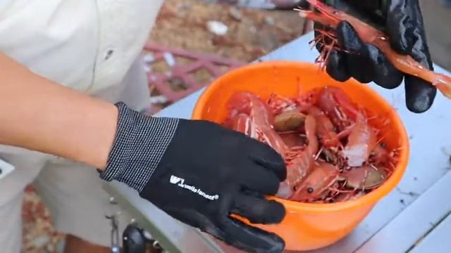 How To Clean Fresh Spot Prawns смотреть онлайн