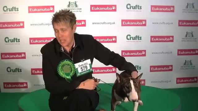 CRUFTS 2013: Sally Richardson & Magrat смотреть онлайн