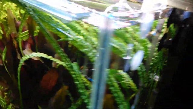 Реактор Со2 (выносной, установка) смотреть онлайн