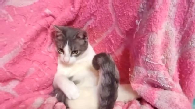 Ларс. смотреть онлайн