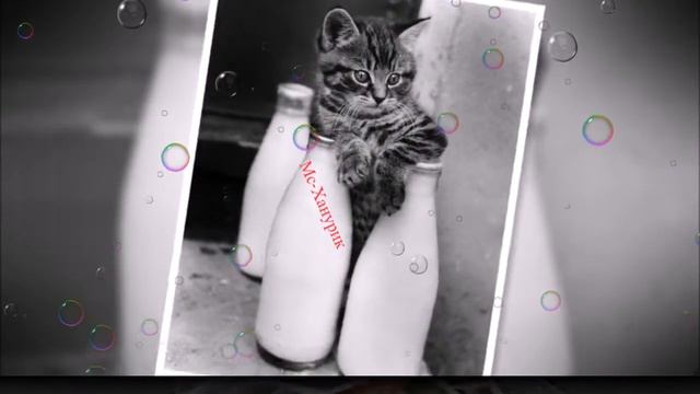 люди мы в дурдоме смотреть онлайн