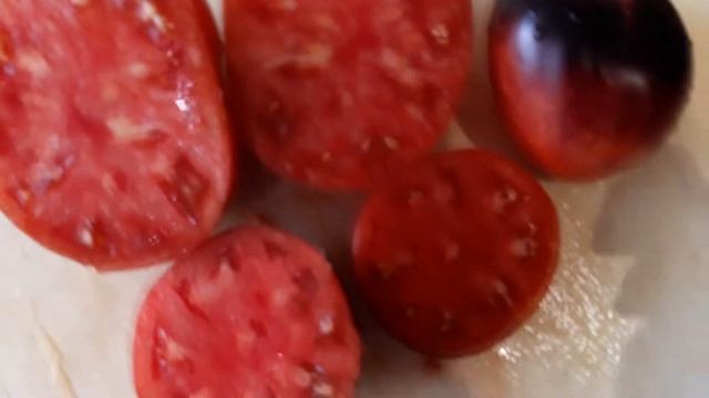 мои сорта томатов'вызрели. смотреть онлайн