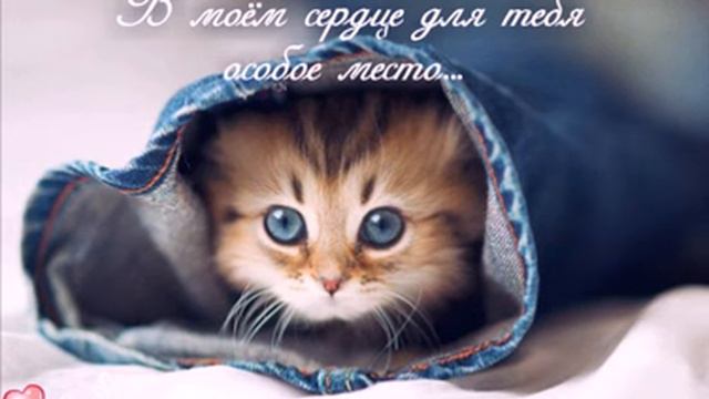 В моём сердце для тебя особое место смотреть онлайн