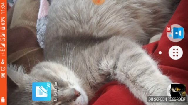 Самоделкин