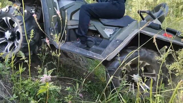 Поймали сокола. Упал с дерева. 5 и 6 ДЕНЬ. смотреть онлайн