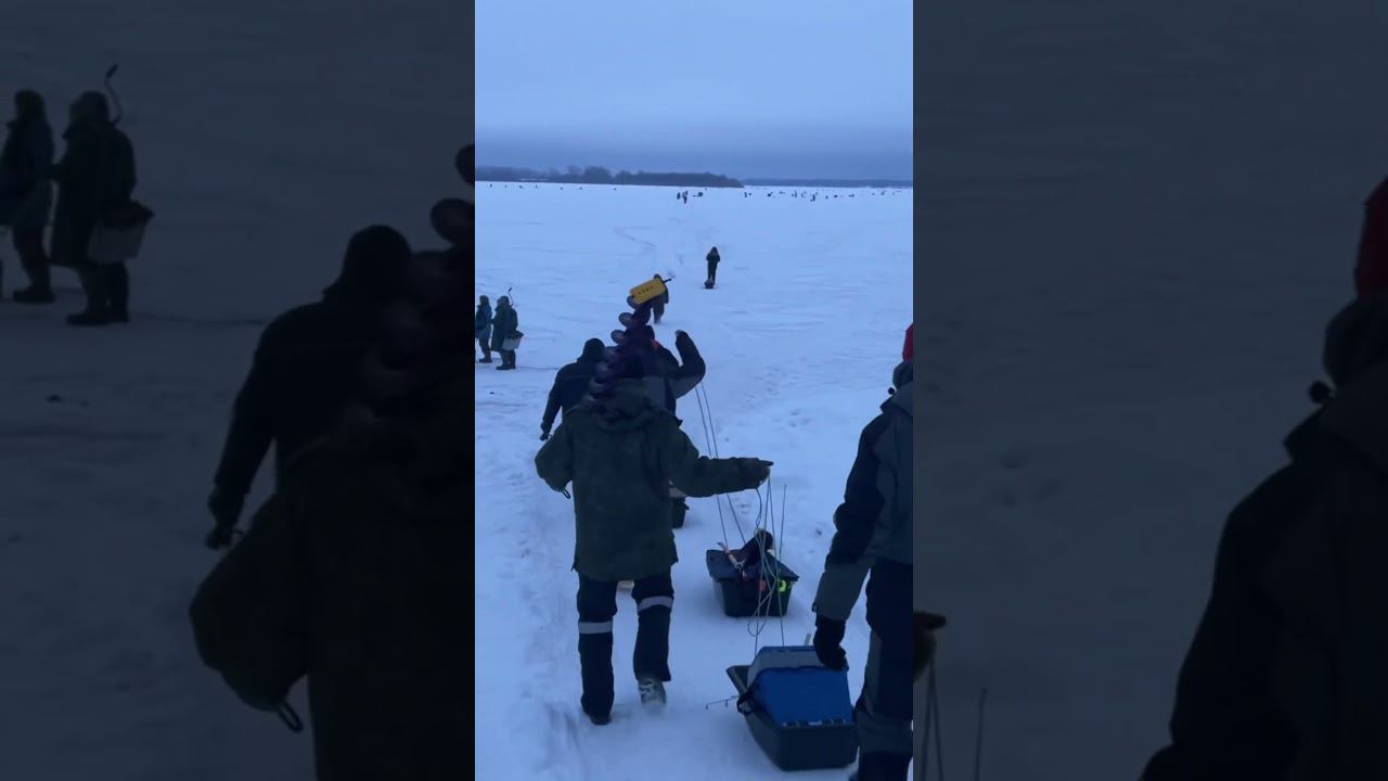 Куда мы, всё идём #рыбалкакстово #первыйлёд #плотва #зимняяудочка смотреть онлайн