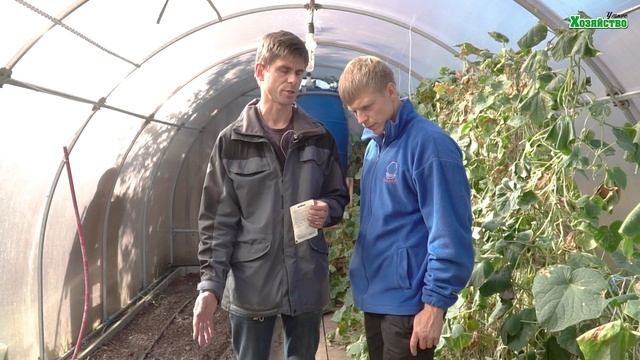 ОСЕННИЙ ПОСЕВ РЕДИСКИ. ВСЕ ТОНКОСТИ ВЫРАЩИВАНИЯ. смотреть онлайн