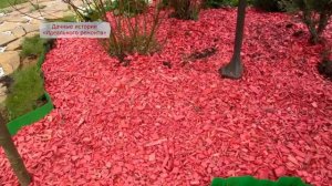 Идеальный ремонт | Дачные истории Идеального ремонта