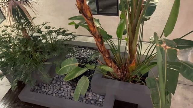 Сравним как выглядят подъезды домов в Америке и России смотреть онлайн