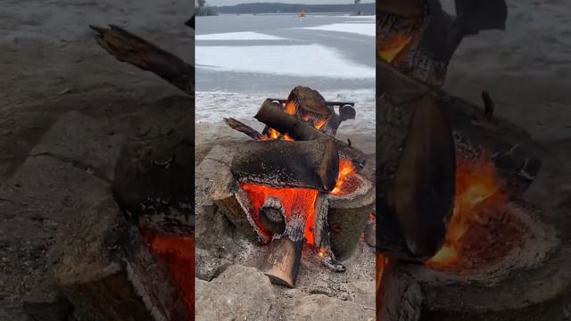 У костра🔥 Зимний пейзаж. Зима. Вереск