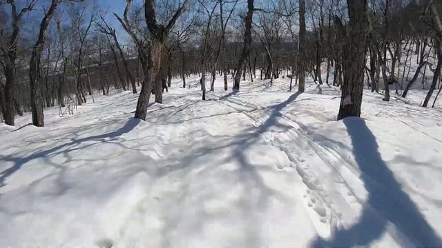Чирельчик 18 04 20 Покатушки и попрыгушки смотреть онлайн
