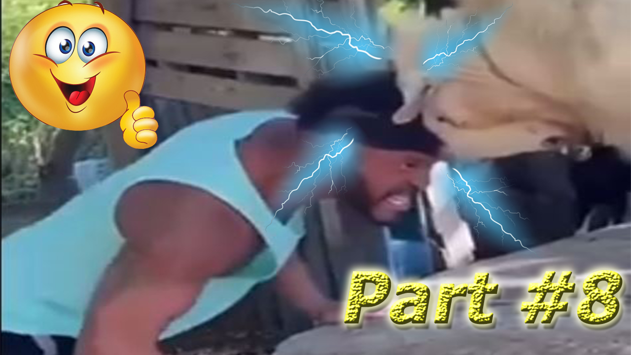 NEW Лучшие Смешные Видео Февраль 2024 года. Part #8 #funny #funnyvideo #humor #new