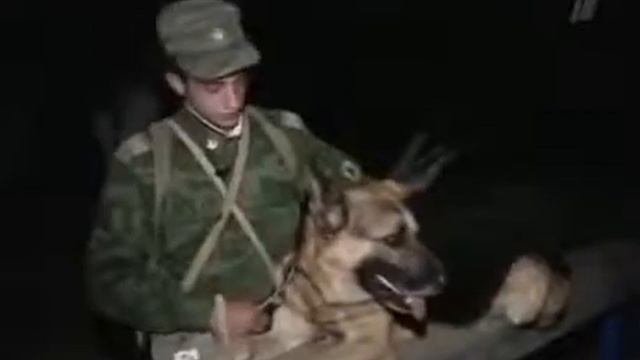 Мегринский отряд смотреть онлайн