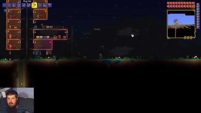 Stream 5 20 20 Terraria Journeys End Master Mode Ep 4 Pt 1 смотреть онлайн