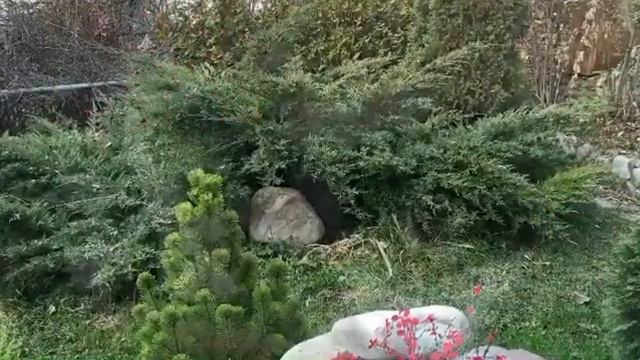 Дом в Баварском стиле. Купить дом мечты в городе Алматы. смотреть онлайн