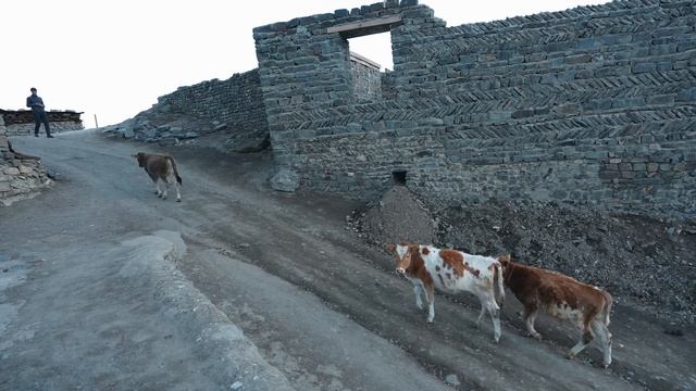 Stone Sandwich in the Mountain Village ?? Azerbaijan Unseen Street Food смотреть онлайн
