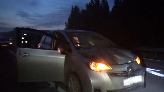 Сегодня ночью на 8 километре автодороги между магистралями Екб-Серов и Серов-Ивдель был сбит пешехо смотреть онлайн