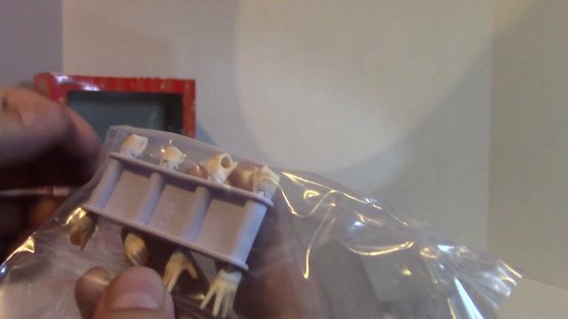Sword Art Onilne Asuna Figma Unboxing!!!! смотреть онлайн
