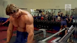 The great... Arnold Schwarzenegger's biceps and triceps workout video....