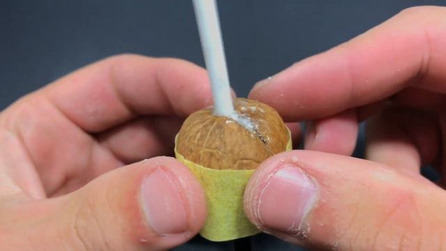 ПОПЛАВОК из ОРЕХА своими руками (рыбалка на поплавок) смотреть онлайн