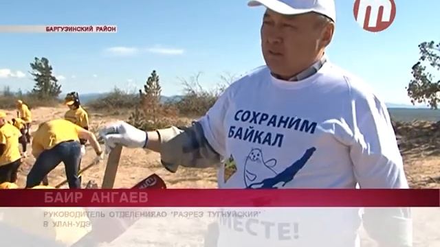 Кедровая роща смотреть онлайн