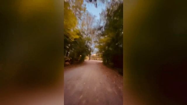 Fall Trails On An E Scooter смотреть онлайн