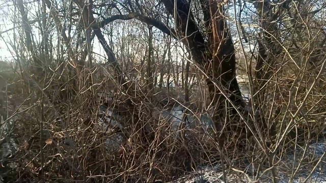 Выпал снег,холод. смотреть онлайн