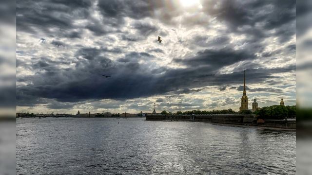 Полина Стерлигова. Этому городу ваши беды...