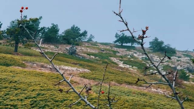 Поход на плато Ай-петри смотреть онлайн