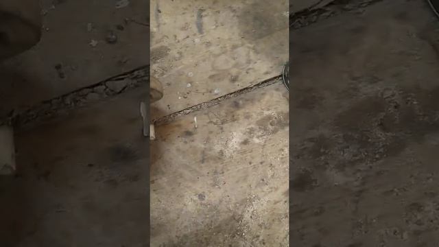 бисстрой смысл покупать SsangYong смотреть онлайн