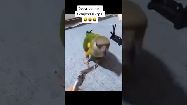 Великолепная игра? смотреть онлайн